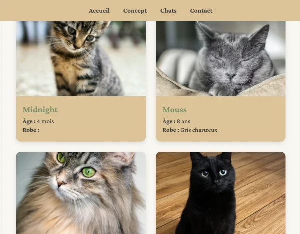 Capture d'écran de la page de la lsite des chats