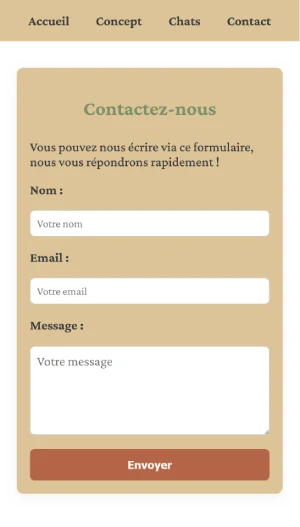 Capture d'écran du formulaire de contact