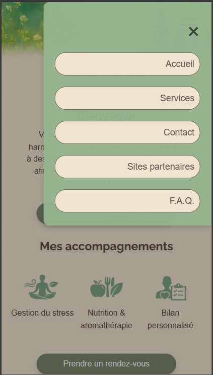 Capture d'écran de la version mobile de la page d'accueil
